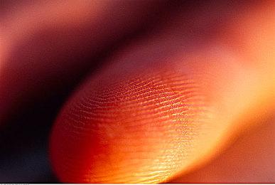 《功夫梦：街头乱斗》角色揭示预告 9月21日发售